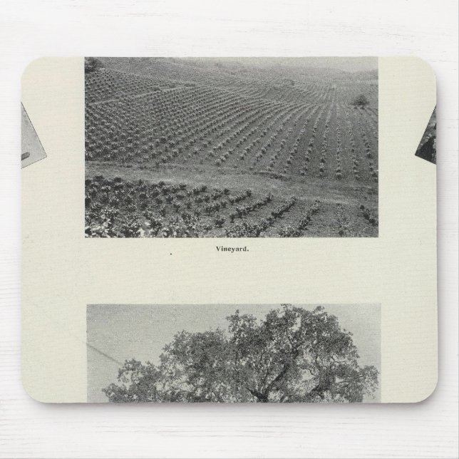 Alfombrilla De Ratón California 4 (Frente)