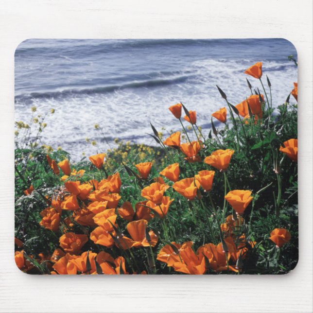 Alfombrilla De Ratón California, Costa Big Sur, California Poppy (Frente)