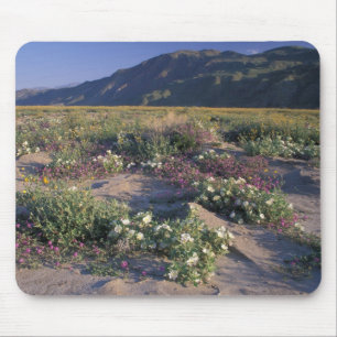 Alfombrilla De Ratón California, Desierto Anza-Borrego SP, Arena