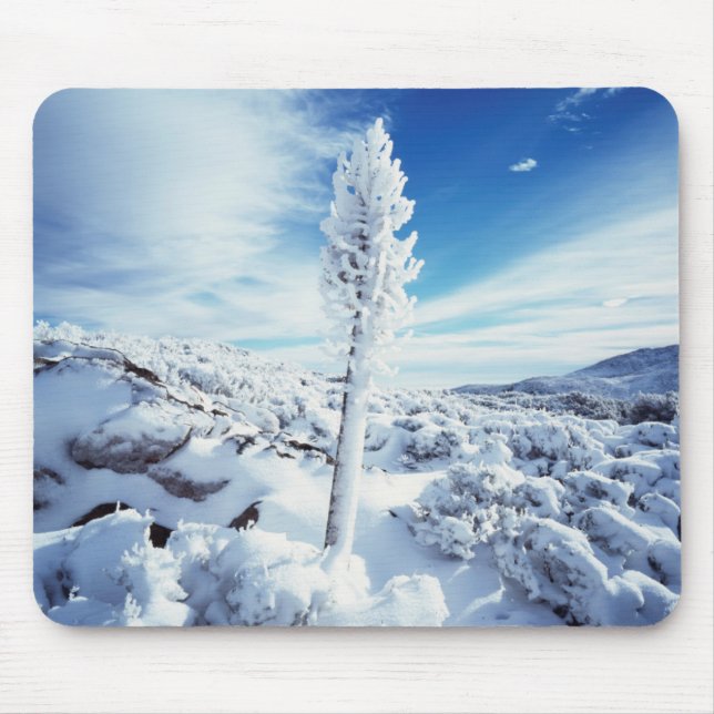 Alfombrilla De Ratón California, Parque Estatal del Desierto de Anza Bo (Frente)