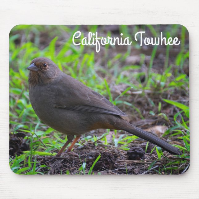 Alfombrilla De Ratón California Towhee (Frente)