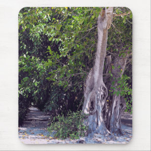 Alfombrilla De Ratón Calle Banyan Mousepad