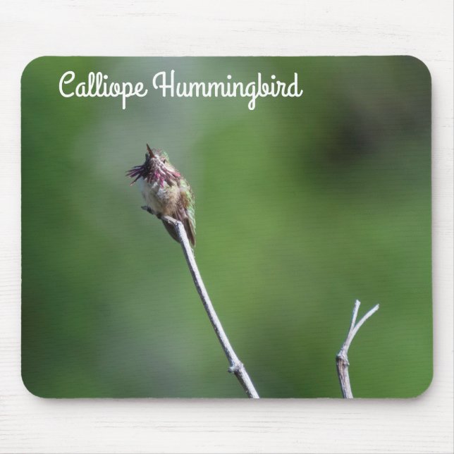 Alfombrilla De Ratón Calliope Hummingbird (Frente)