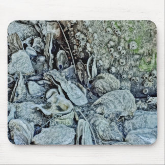 Alfombrilla De Ratón Cama de ostra de la belleza de la marea baja