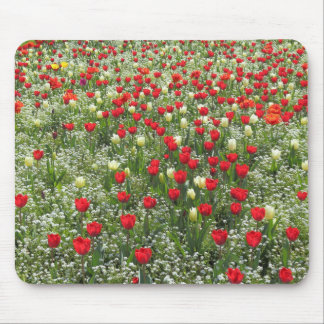 Alfombrilla De Ratón Cama de tulipanes