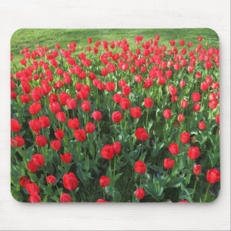 Alfombrilla De Ratón Cama de Tulipanes Rojos 01
