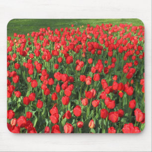 Alfombrilla De Ratón Cama de Tulipanes Rojos 02