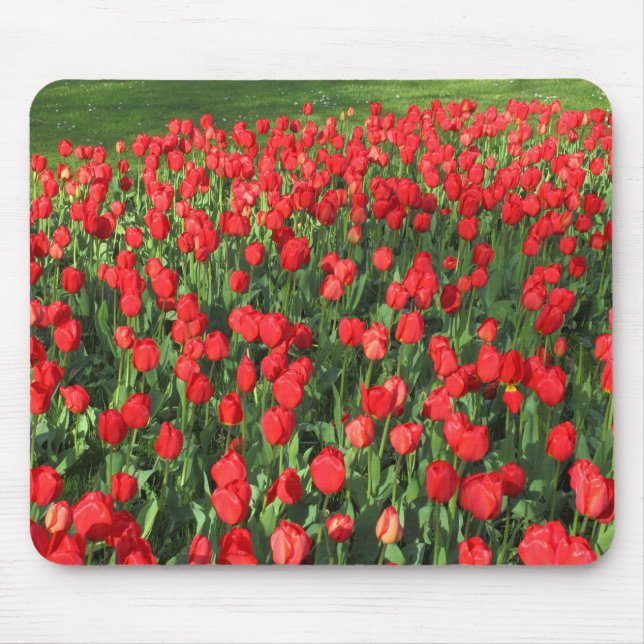 Alfombrilla De Ratón Cama de Tulipanes Rojos 02 (Frente)