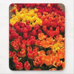 Alfombrilla De Ratón Cama Sunset Tulip Garden, Oregón