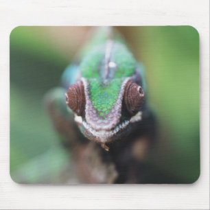 Alfombrilla De Ratón Camaleón pantera de Madagascar con barra roja
