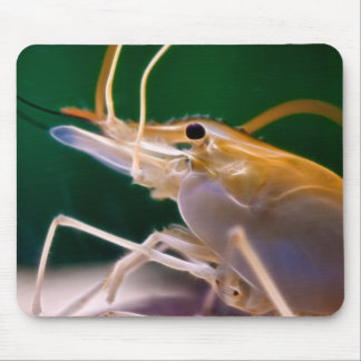 Alfombrilla De Ratón Camarón que brilla intensamente - Mousepad
