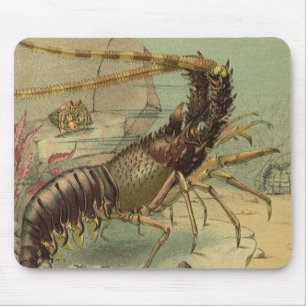 Alfombrilla De Ratón Camarones, Vida Marina Subacuática, Animales Oceán