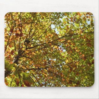 Alfombrilla De Ratón Cambiar el color verde del árbol de arce y el oro 