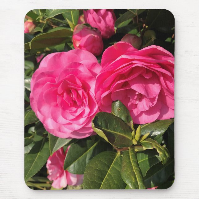 Alfombrilla De Ratón Camellia rosa (Frente)