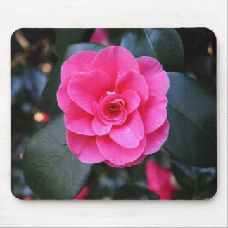 Alfombrilla De Ratón Camellia rosa