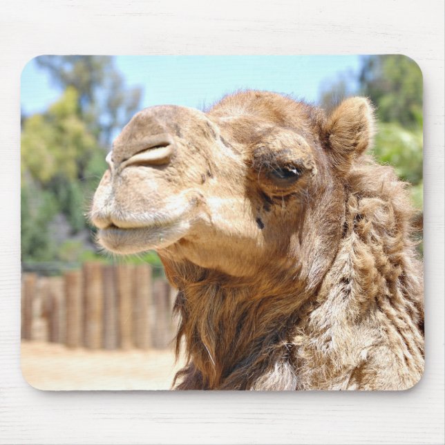 Alfombrilla De Ratón Camello Mousepad (Frente)