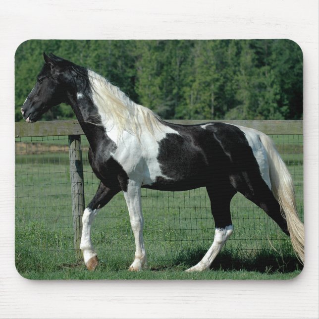 Alfombrilla De Ratón Caminante manchado (Frente)