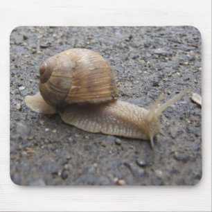 Alfombrilla De Ratón caminata de caracol