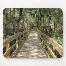 Caminata por el bosque