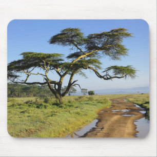 Alfombrilla De Ratón Camino de tierra primitivo y árbol de acacia, Lago
