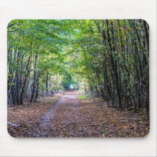 Alfombrilla De Ratón Camino en el bosque de otoño, bosque de Saint Germ