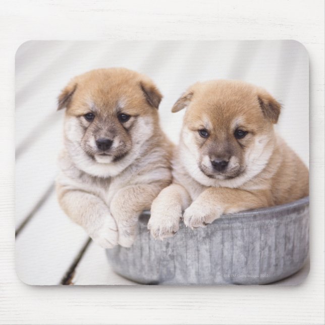 Alfombrilla De Ratón Camionetas Shiba Inu en la bañera de aluminio (Frente)