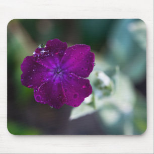 Alfombrilla De Ratón Campión Rosa Silene coronaria