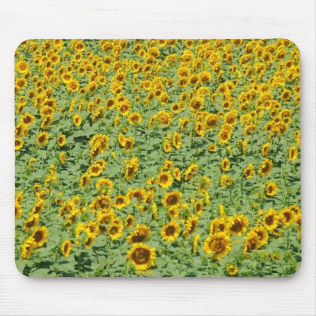 Alfombrilla De Ratón Campo amarillo del girasol (Frente)