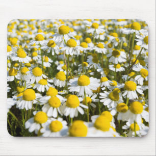 Alfombrilla De Ratón Campo Chamomile, Hungría