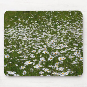 Alfombrilla De Ratón Campo de flores silvestres de Daisies Alaskan