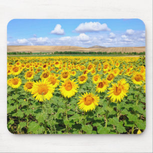 Alfombrilla De Ratón Campo de girasol