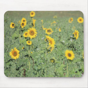 Alfombrilla De Ratón Campo de girasoles