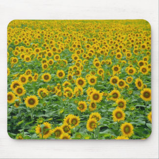 Alfombrilla De Ratón Campo de la almohadilla del ratón de girasoles
