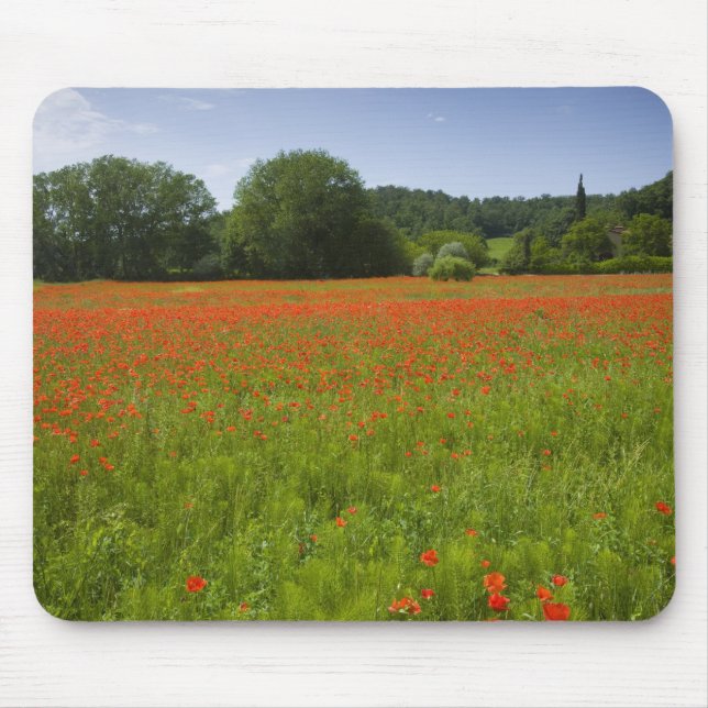 Alfombrilla De Ratón Campo de la amapola, Chiusi, Italia (Frente)