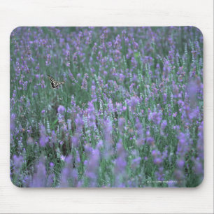 Alfombrilla De Ratón Campo de la lavanda