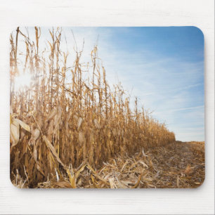 Alfombrilla De Ratón Campo de maíz en parte cosechado