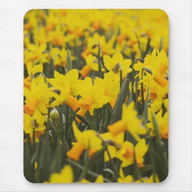 Alfombrilla De Ratón Campo de Narcisos (Frente)