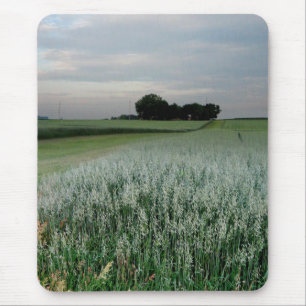 Alfombrilla De Ratón Campo de trigo de granjas del medio oeste
