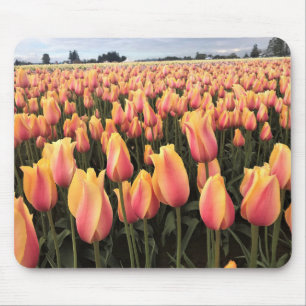Alfombrilla De Ratón Campo de tulipanes amarillos y rosados, Oregón