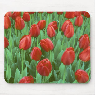 Alfombrilla De Ratón Campo de tulipanes florece en primavera.