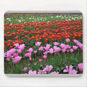 Alfombrilla De Ratón Campo de tulipanes rosados y rojos, Oregon