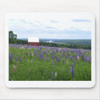 Alfombrilla De Ratón Campo Estocolmo, YO de los Lupines de Maine