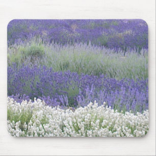 Alfombrilla De Ratón Campo Mousepad de la lavanda