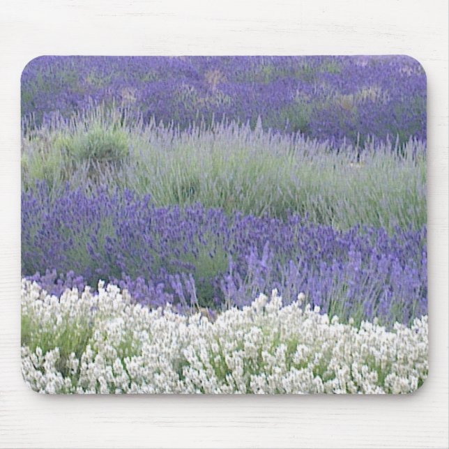 Alfombrilla De Ratón Campo Mousepad de la lavanda (Frente)
