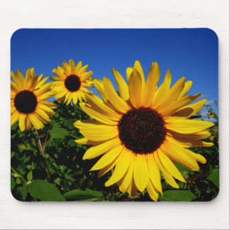 Alfombrilla De Ratón Campo Mousepad del girasol