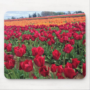Alfombrilla De Ratón Campo Tulipán rojo y Naranja, Oregón