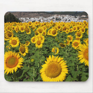 Alfombrilla De Ratón Campos de girasol, ciudad de Bornos, en una colina