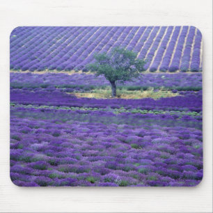 Alfombrilla De Ratón Campos de lavanda, Vence, Provenza, Francia
