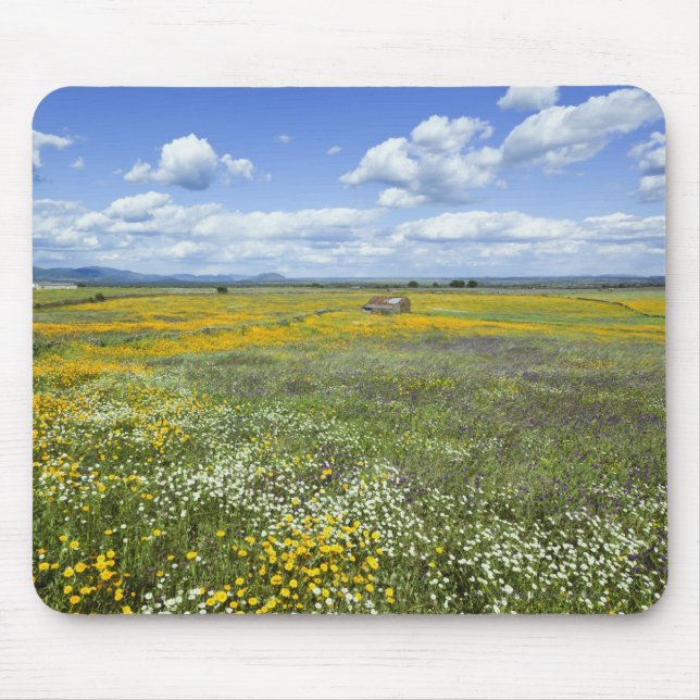Alfombrilla De Ratón Campos en primavera cerca de Guadalupe (Frente)
