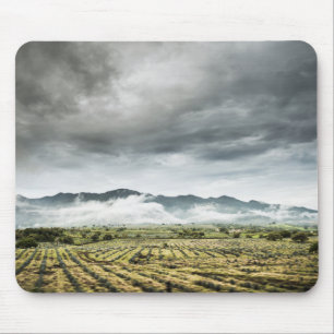Alfombrilla De Ratón Campos rurales de la cosecha debajo del cielo